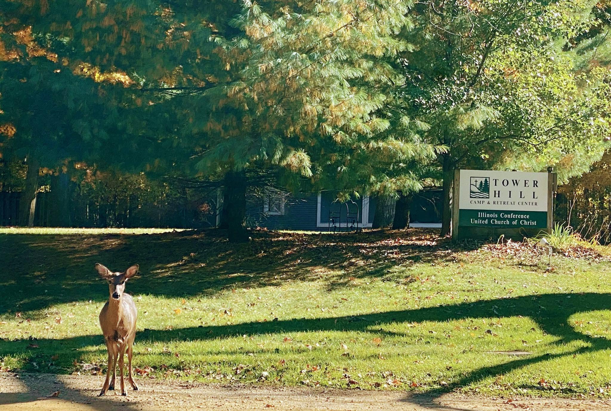 Exterior of Tower Hill with Deer