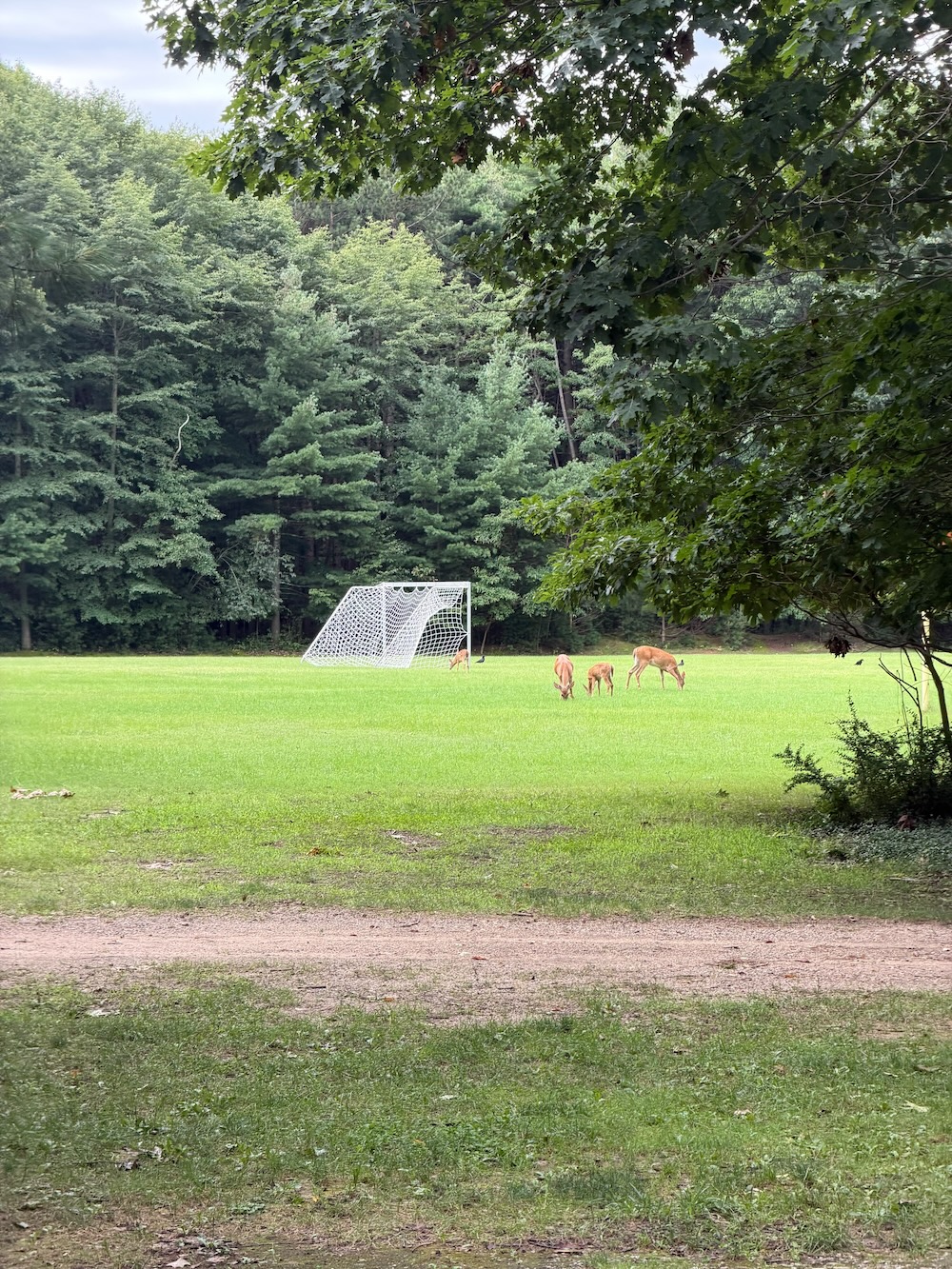 A soccer field